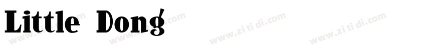 Little Dong字体转换